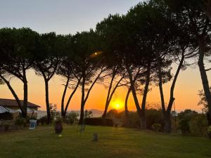 una puesta de sol en un campo con árboles en primer plano en Agriturismo Le Querciole, en Casciana Terme