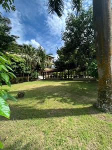 a park with a palm tree and a building at Tiger Residency Resort in Sauraha