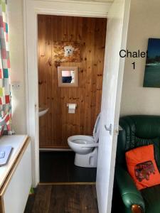 a bathroom with a toilet in a wooden wall at Atlanta Ceder Wood Chalet in Mablethorpe