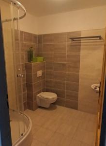 a bathroom with a toilet and a shower at Penzion U Kapličky 