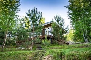 a cabin in the woods with trees at Lapsu ciems in Sece