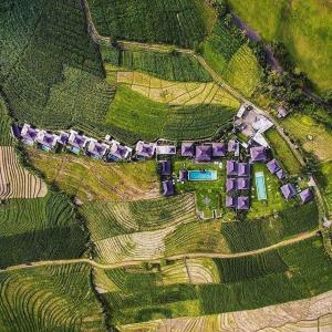 een luchtfoto van een huis in een veld bij Alami Boutique Villas & Resort in Tabanan