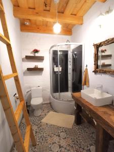 La salle de bains est pourvue d'une douche, de toilettes et d'un lavabo. dans l'établissement Zabytkowy dom z 2 sypialniami i 2 ogródkami, à Wydminy