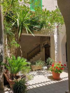 a courtyard with potted plants and a staircase in a building at Radici Dimora natura cultura in Campagnola