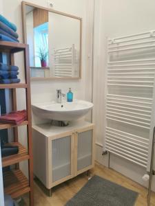 a bathroom with a sink and a mirror and a shower at Gemütliche Gästewohnung in ruhiger Lage in Kronshagen