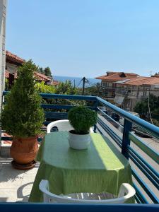 une table verte avec deux plantes sur un balcon dans l'établissement Vassilikos Apartment, à Flogita