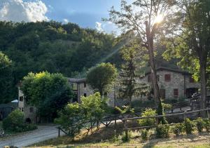 Blick auf einen Garten mit Sonne in der Unterkunft Le Boccede Country House B&B in Villa Minozzo