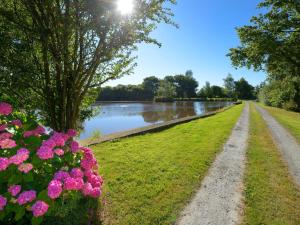 een pad naast een rivier met bloemen bij Le Clos du Piheux in Thorigné-dʼAnjou