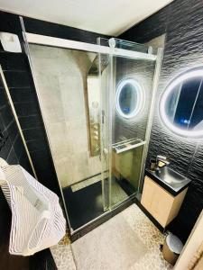 uma casa de banho com uma cabina de duche em vidro e um lavatório. em Flatshare Colocation 1 close to Geneva em Saint-Genis-Pouilly
