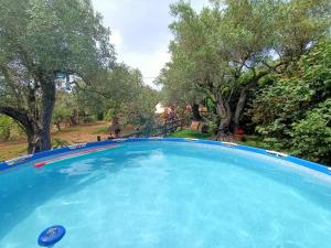 una grande piscina blu in un cortile con alberi di The Treehouse - Casa sull'albero al Golden Camp a Falerna