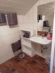 a bathroom with a white sink and a mirror at Pension Fohlenhof in Frauenau