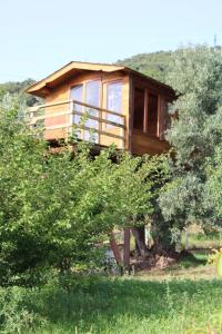 una casa in mezzo ad alcuni alberi di The Treehouse - Casa sull'albero al Golden Camp a Falerna Altre 5 foto