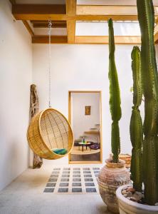 a room with a swing and a cactus at Casa.b Mogador in Essaouira