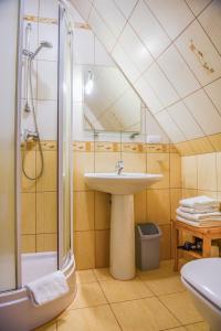 ein Bad mit einem Waschbecken und einer Dusche in der Unterkunft Willa Alesandro in Zakopane