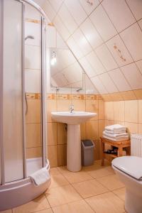 a bathroom with a sink and a shower at Willa Alesandro in Zakopane