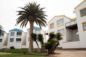 a palm tree in front of a building at NORDSTRANDPARK 26 in Swakopmund