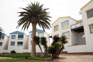 a palm tree in front of a building at NORDSTRANDPARK 26 Main Beach Area in Swakopmund