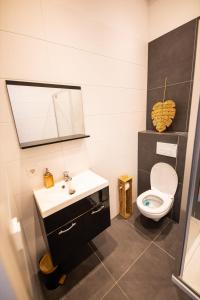 y baño con aseo, lavabo y espejo. en Tremendous 2-Bedroom Serviced Apartment - 79 m2, en Róterdam