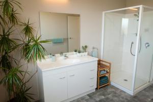 a bathroom with a white sink and a shower at Kakariki by the sea in Ngunguru