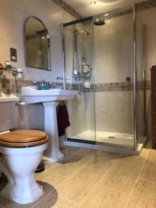 a bathroom with a shower and a toilet and a sink at Trumpan Cottage Bed & Breakfast in Trumpan +25 photos