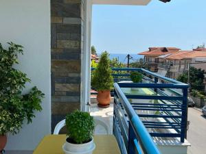 a balcony with a blue railing and potted plants at Vassilikos Apartment in Flogita