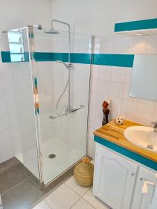 W łazience znajduje się prysznic i umywalka. w obiekcie Les barbots w mieście Saint-Louis
