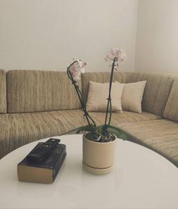 a table with a remote control and a flower on it at Ajsha Guesthouse in Jajce