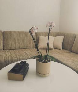 Posezení v ubytování Ajsha Guesthouse