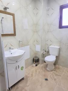 a bathroom with a toilet and a sink and a mirror at Семеен хотел "Елеганс" - Борино in Borino