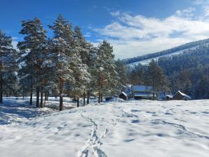 een met sneeuw bedekt veld met voetafdrukken in de sneeuw met bomen bij Šumska Tajna in Divčibare