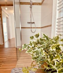 a shower in a bathroom with a plant at Ferienhaus Griede in Mörsdorf