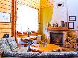 a living room with a couch and a fireplace at Karkonoskie Siodło in Kostrzyca