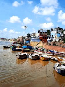 un grupo de barcos están atracados en el agua en Anand Kanan, en Varanasi