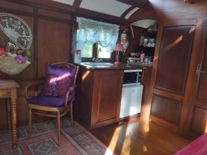 une cuisine avec une chaise violette dans une chambre dans l'établissement La roulotte d'alany, à Grayan-et-lʼHôpital