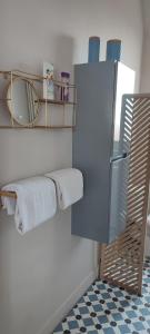 a bathroom with a blue refrigerator and a mirror at Les Cocons de Stéphanie avec balcon in Vichy