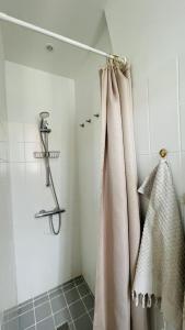 eine Dusche mit Duschvorhang im Bad in der Unterkunft ApartmentInCopenhagen Apartment 1511 in Kopenhagen