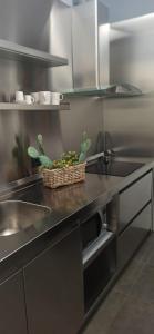 eine Küche mit einer Spüle und einem Korb mit Pflanzen in der Unterkunft B&B af in Massafra