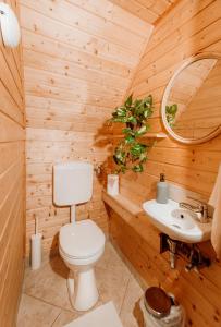 a wooden bathroom with a toilet and a sink at Kispatak Vendégház in Zebegény