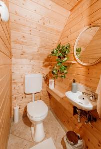 baño de madera con aseo y lavamanos en Kispatak Vendégház, en Zebegény