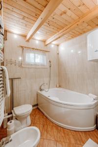 a bathroom with a tub and a toilet and a sink at Kispatak Vendégház in Zebegény