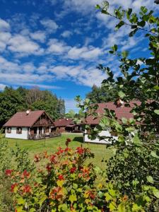 uma casa no meio de um campo com flores em Warmia Resort em Woryty