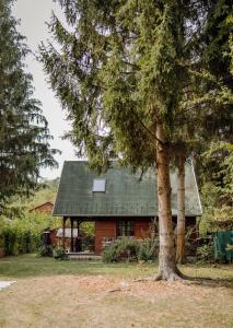 una casa con un árbol delante de ella en Kispatak Vendégház en Zebegény