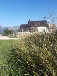 a field of tall grass with a building in the background at Green cottage in Blidinje