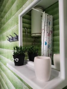 a bathroom with a mirror and plants on a shelf at Stan na dan Goran Pale in Pale