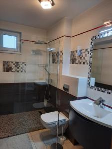 a bathroom with a toilet and a sink and a shower at VILLA BEL CANTO in Cristian