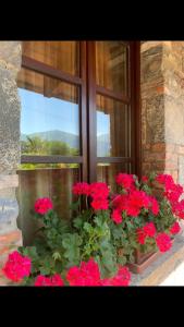 Vonkajšia záhrada v ubytovaní Splendido cottage Lakeview