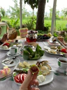 uma mesa cheia de pratos de comida numa mesa em Hotel Nature em Kolonjë