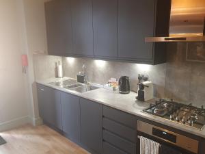 a kitchen with gray cabinets and a sink and a stove at Lovely 1-Bedroom GF flat in Canford Cliffs in Canford Cliffs