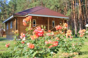 una cabaña de madera con flores rojas delante de ella en Knyazhya Rechka, en Tver