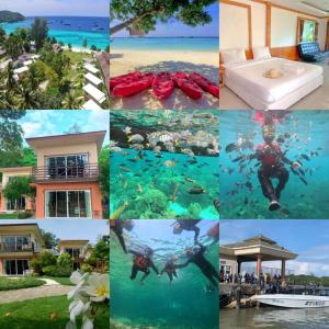 a collage of photos of people swimming in the ocean at Z-Touch Lipe Island Resort in Ko Lipe